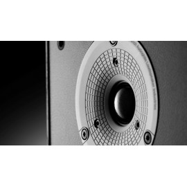 Dali Spektor 2 Raf Tipi Hoparlör ( Yeni Ürün ) 